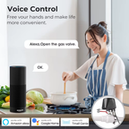 TooGoodTo™ SmartFlow WiFi Valve Controller